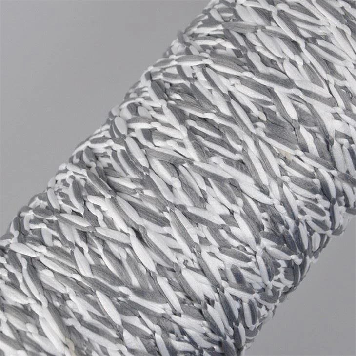 Factory Hot Sale 300D/576F Microfiber Filament Yarn Mop Yarn
